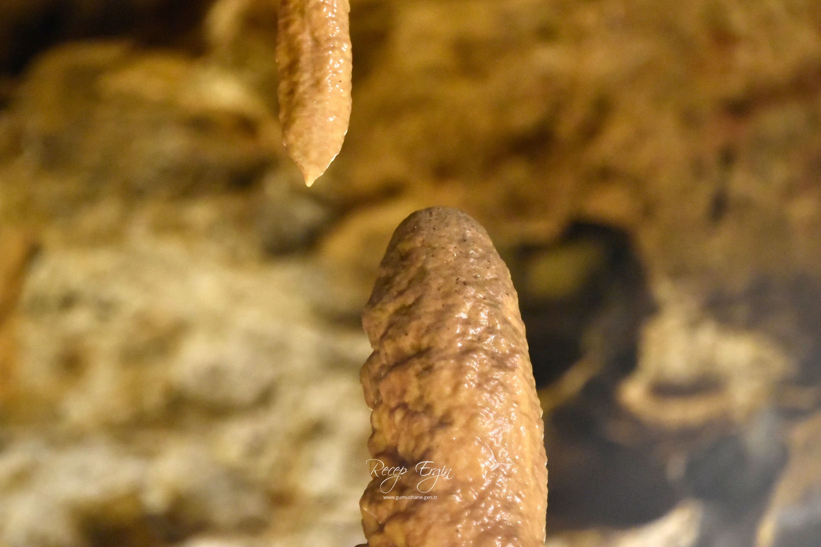 Gümüşhane'nin yeraltı sarayı Karaca Mağarasında sezon başladı 9