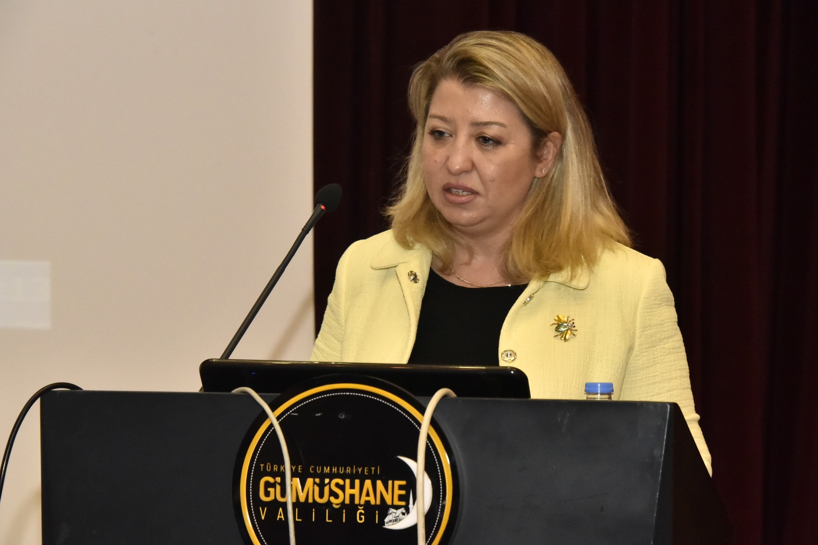 Gümüşhane dünyaya 5 duyuyla tanıtılacak 10