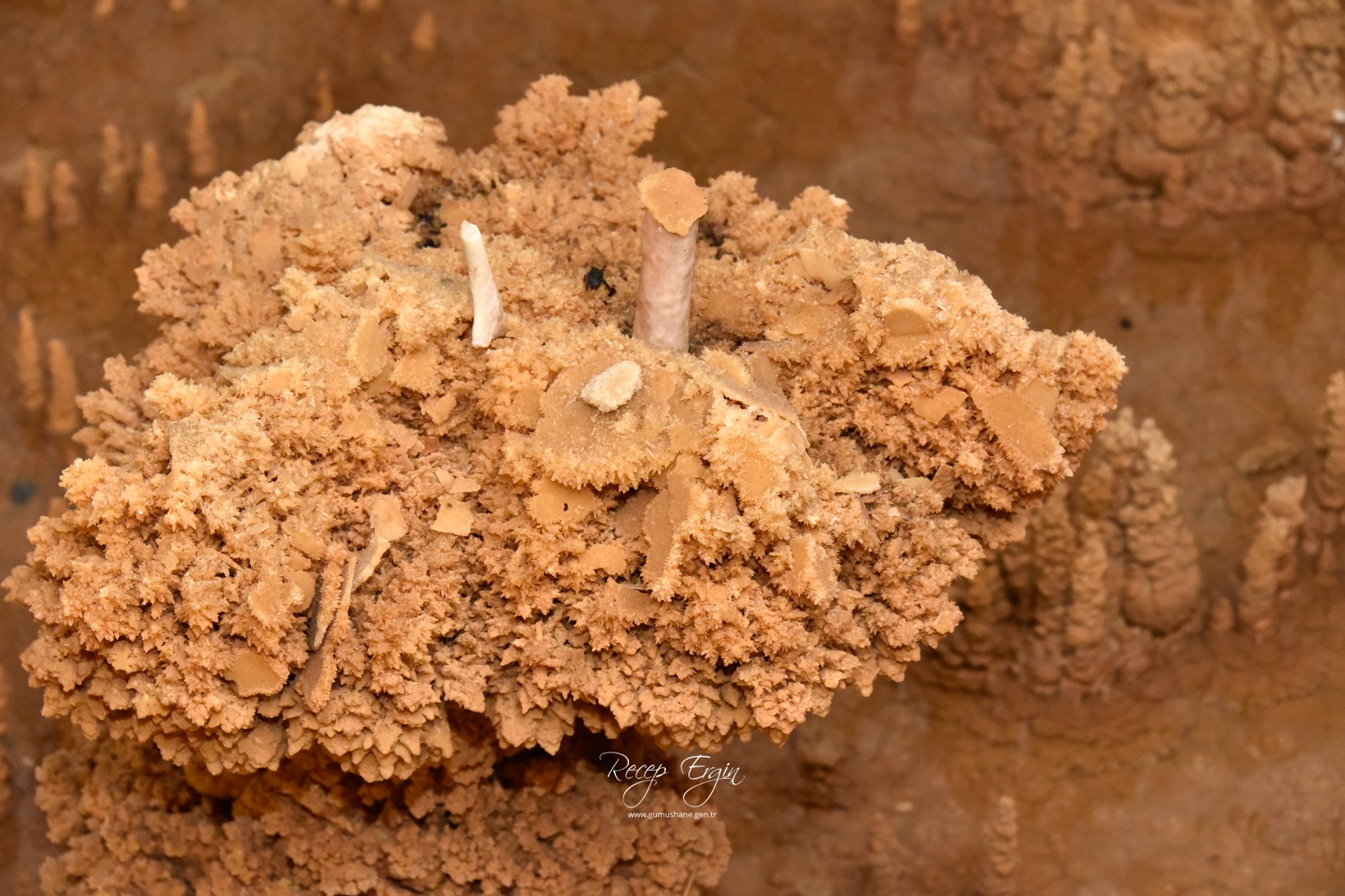 Gümüşhane'nin yeraltı sarayı Karaca Mağarasında sezon başladı 15