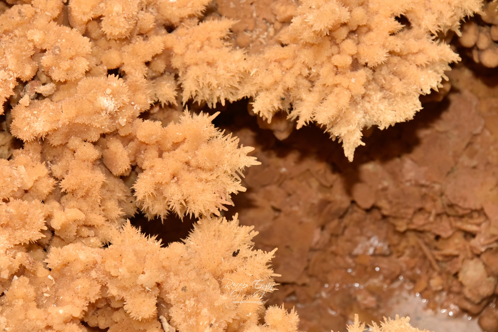 Gümüşhane'nin yeraltı sarayı Karaca Mağarasında sezon başladı 6