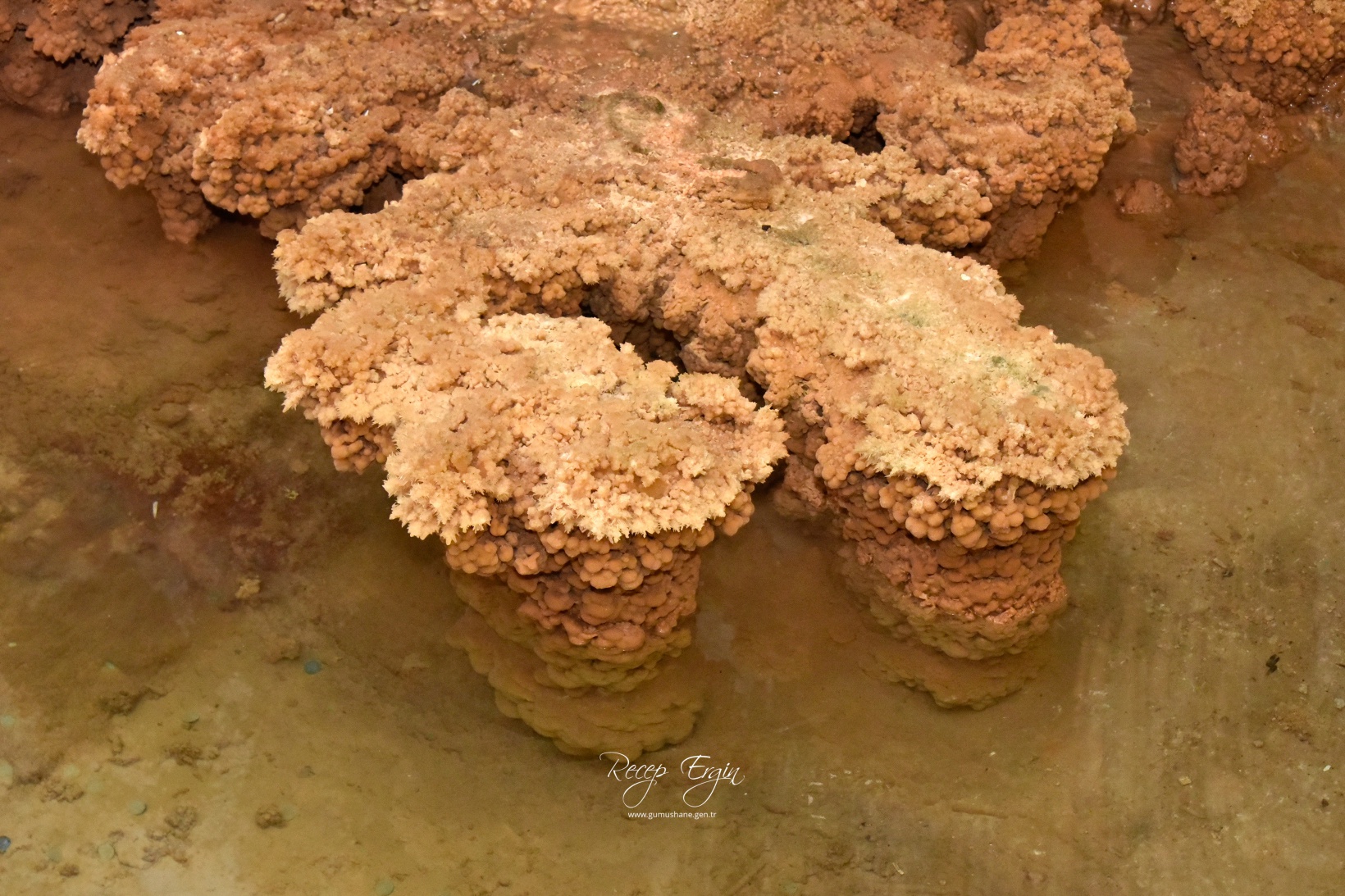 Gümüşhane'nin yeraltı sarayı Karaca Mağarasında sezon başladı 18