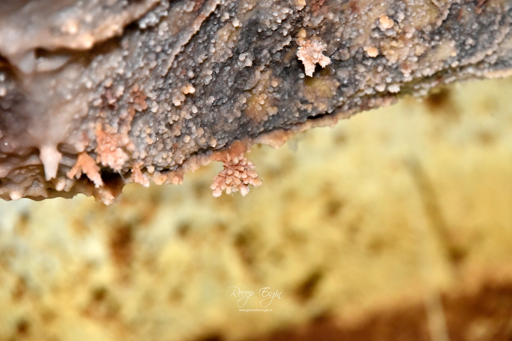 Gümüşhane'nin yeraltı sarayı Karaca Mağarasında sezon başladı 10