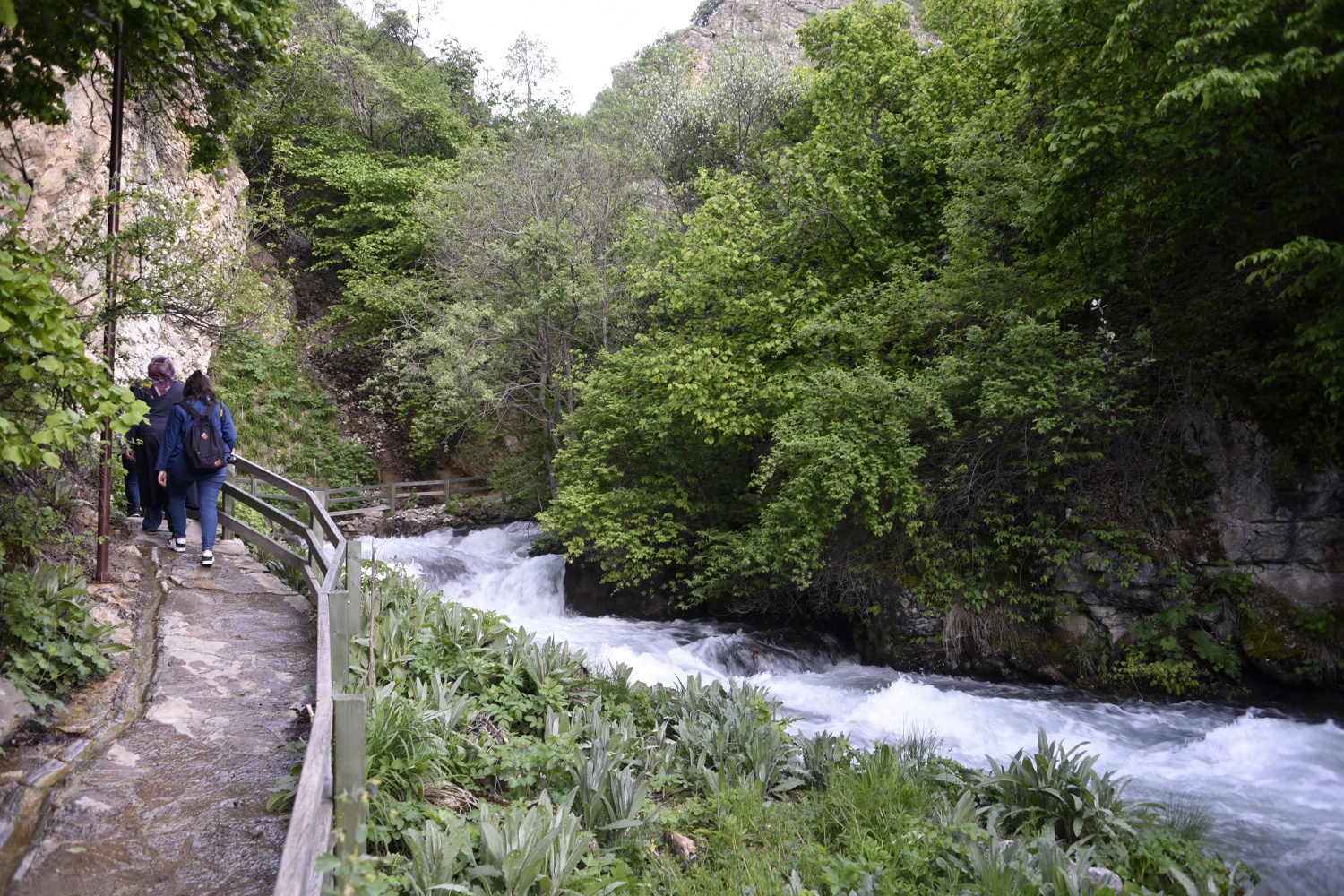 Gümüşhane’de 40 gözeli şelale büyülüyor 36