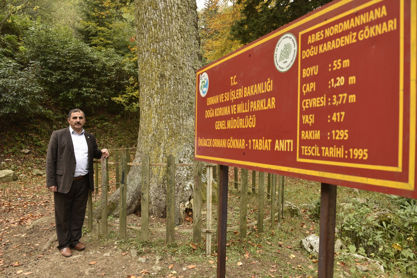 Arapların ‘Hayalimdeki Cennet’ dedikleri Örümcek Ormanlarında sonbahar bir başka güzel 5