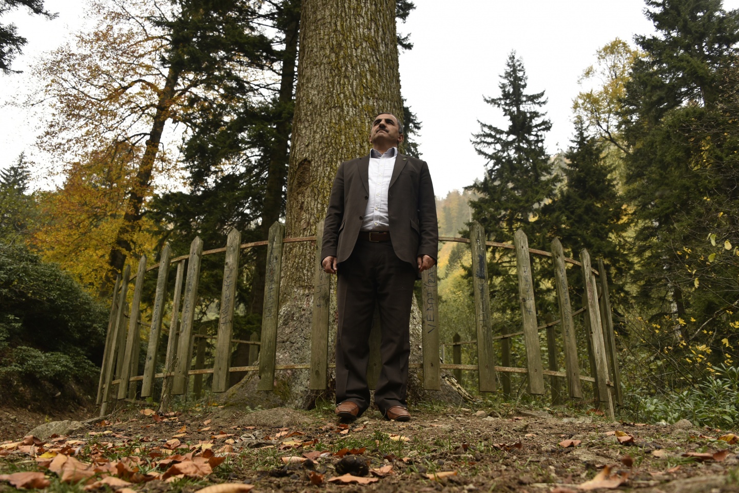 Arapların ‘Hayalimdeki Cennet’ dedikleri Örümcek Ormanlarında sonbahar bir başka güzel 3