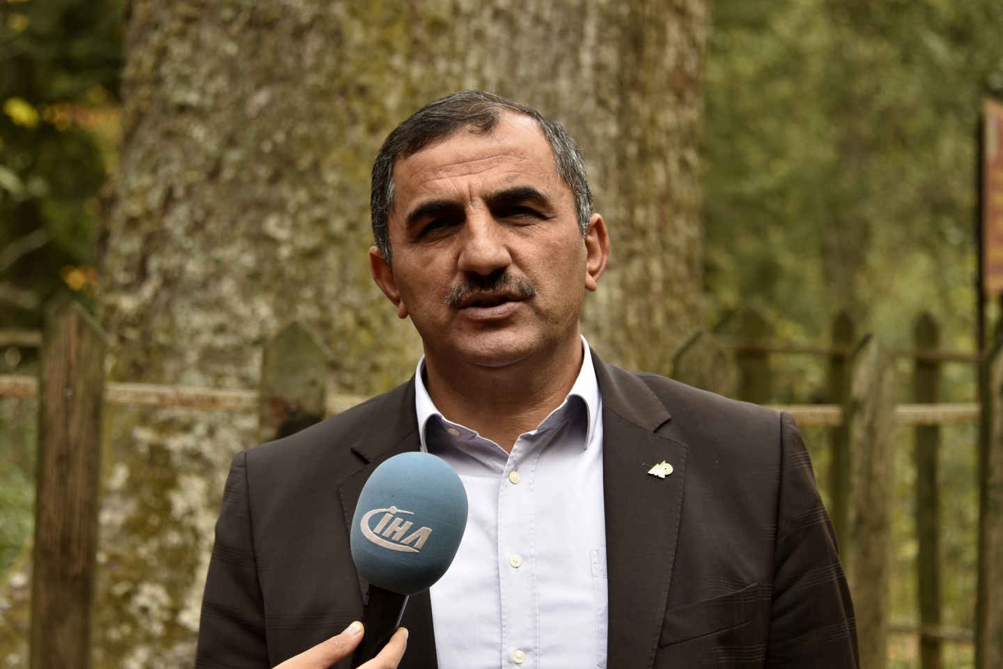 Arapların ‘Hayalimdeki Cennet’ dedikleri Örümcek Ormanlarında sonbahar bir başka güzel 2