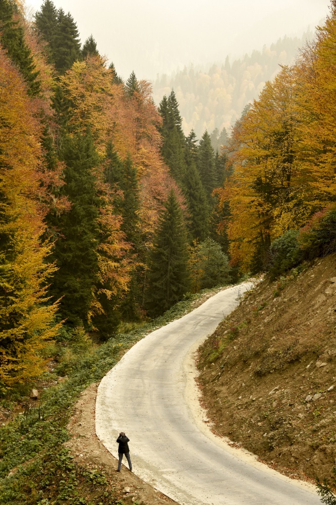 Arapların ‘Hayalimdeki Cennet’ dedikleri Örümcek Ormanlarında sonbahar bir başka güzel 10
