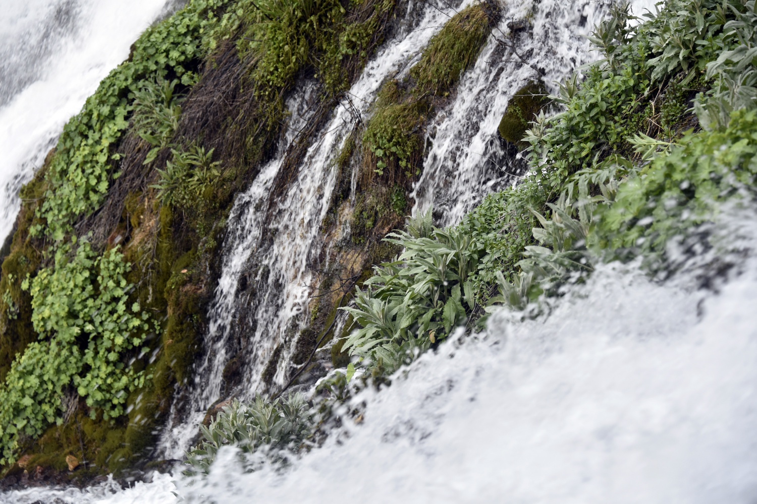 Gümüşhane’de 40 gözeli şelale büyülüyor 23