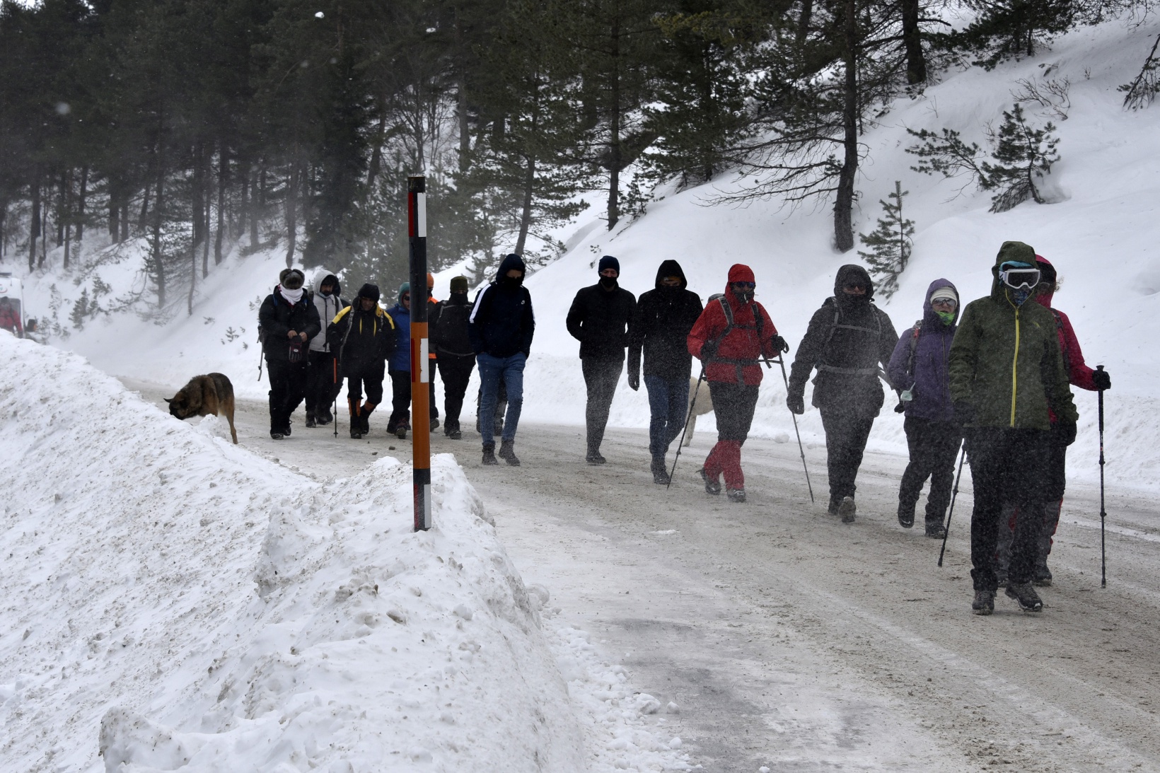Çığ şehitleri 13.yılında Zigana dağında anıldı 11