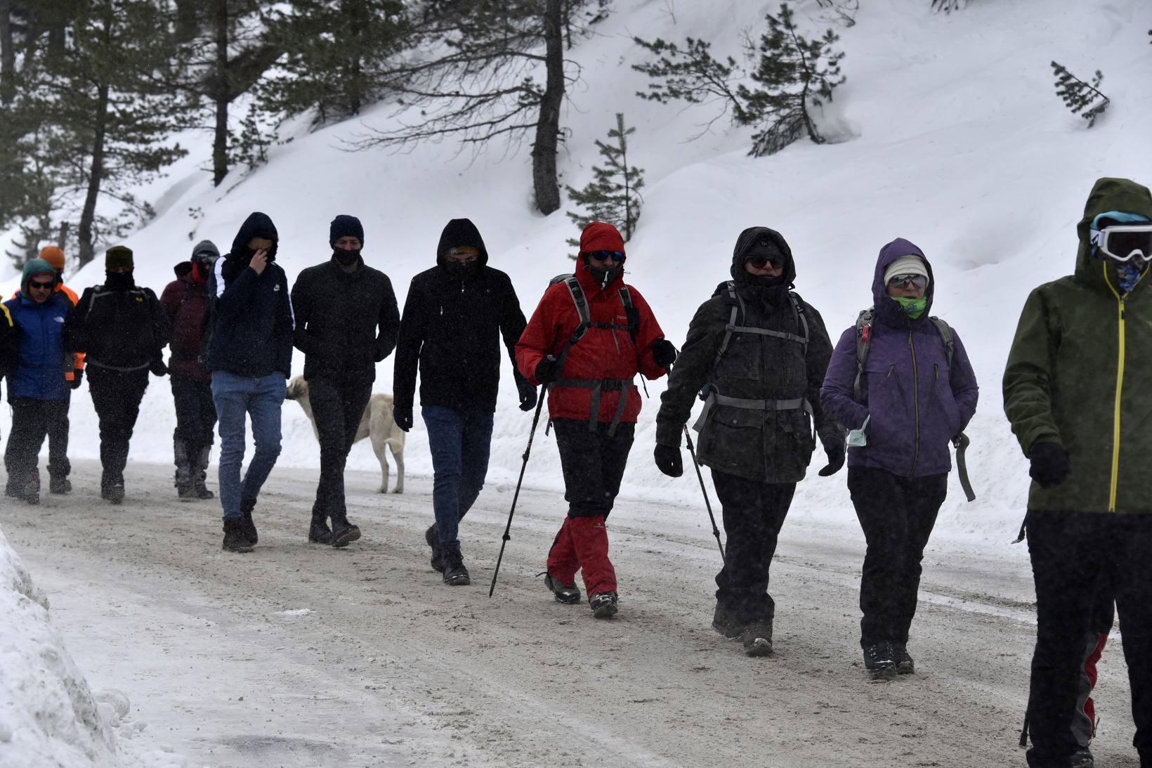 Çığ şehitleri 13.yılında Zigana dağında anıldı 8