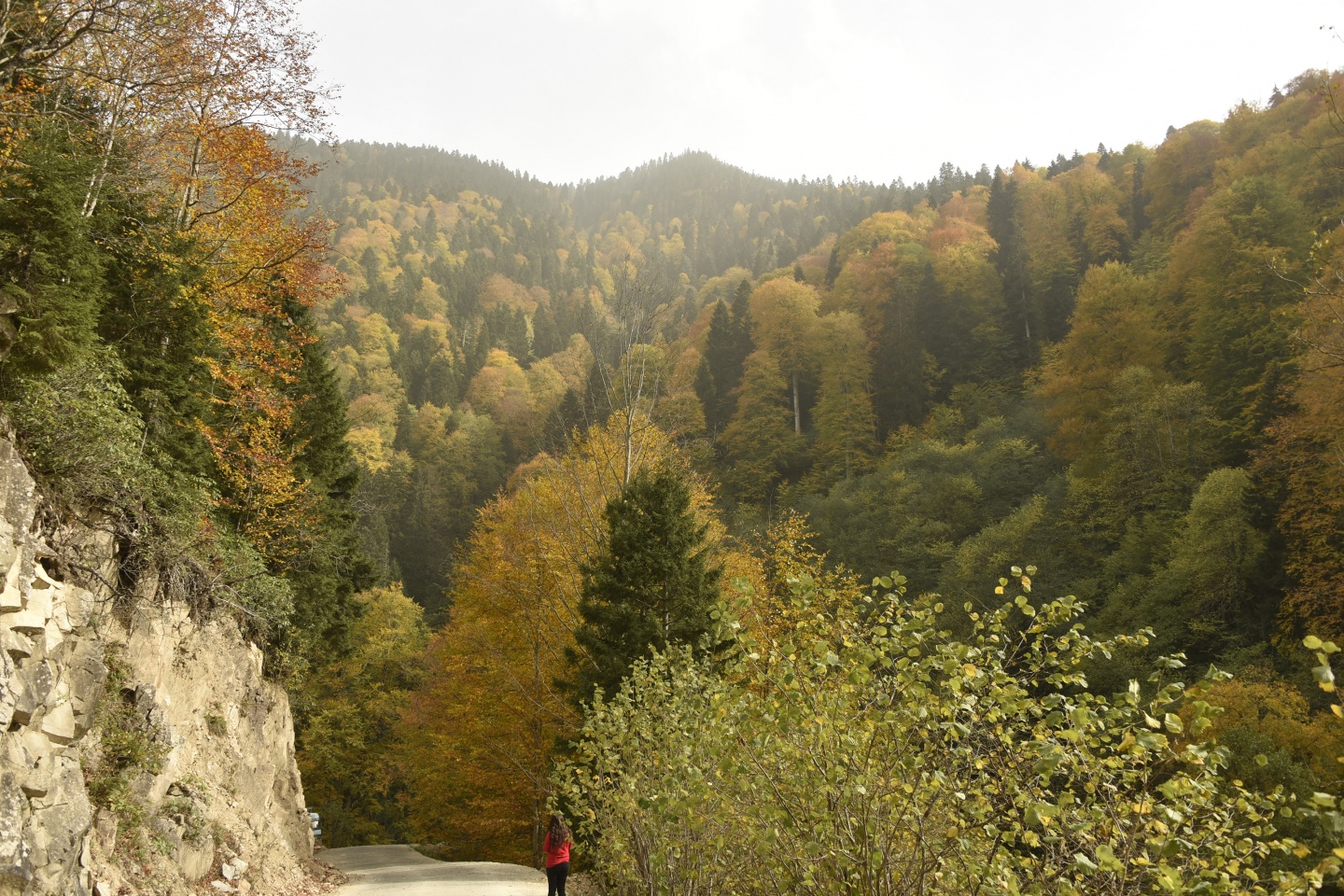 Arapların ‘Hayalimdeki Cennet’ dedikleri Örümcek Ormanlarında sonbahar bir başka güzel 15