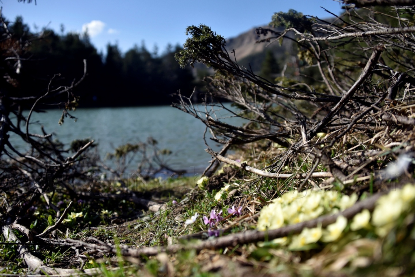 'Karadeniz’e yeni Uzungölller, Sümelalar lazım' 25