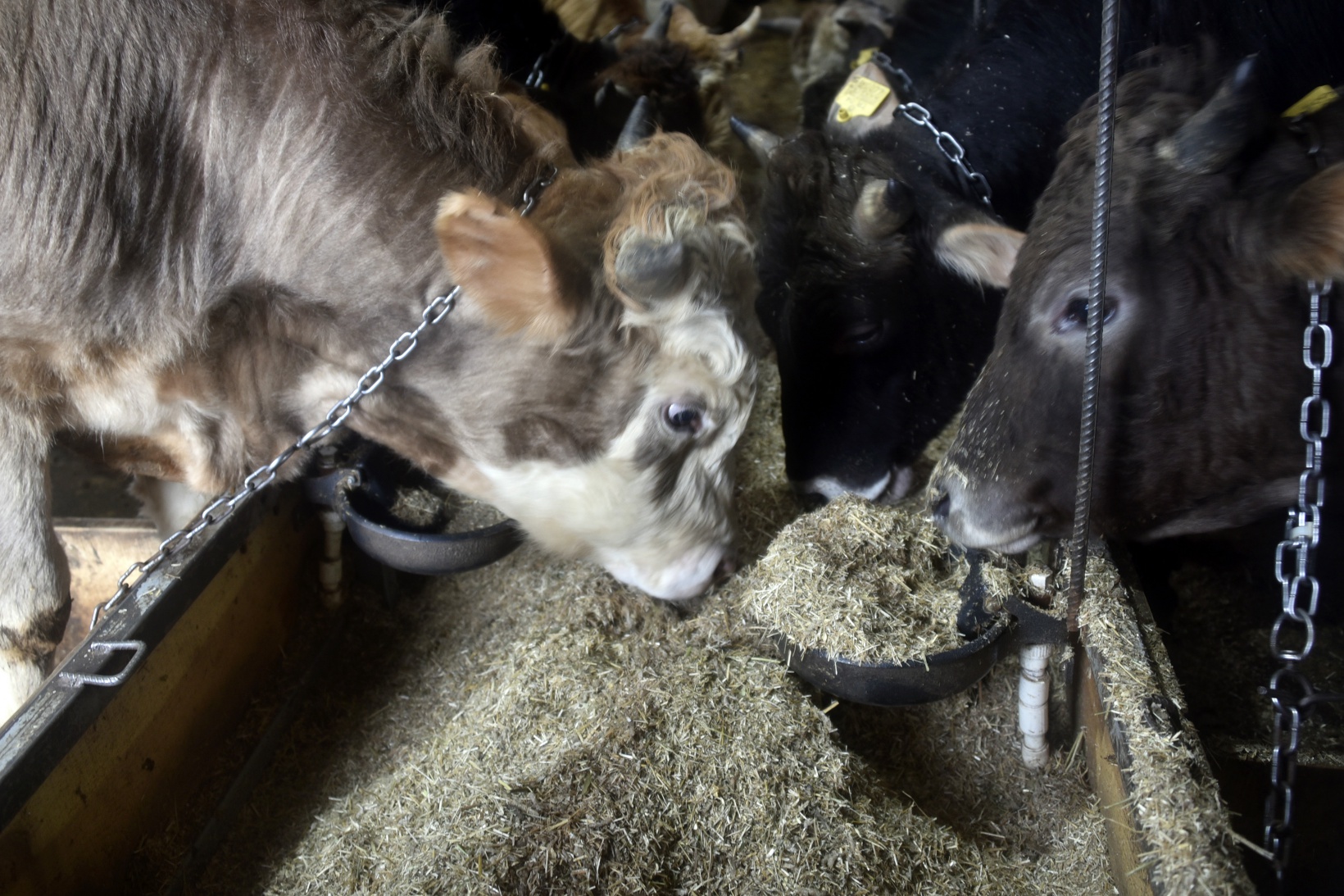 Emekli Vali şoförü ilginç makineler tasarlamaya devam ediyor 8