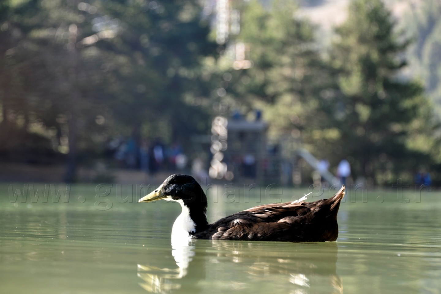 'Karadeniz’e yeni Uzungölller, Sümelalar lazım' 30
