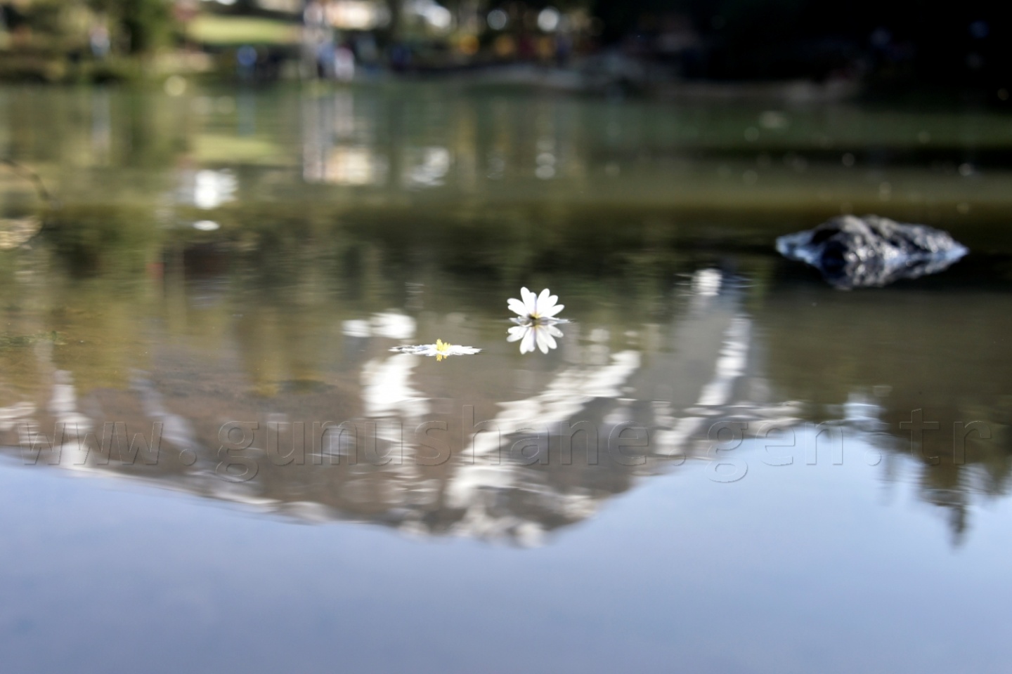 'Karadeniz’e yeni Uzungölller, Sümelalar lazım' 14