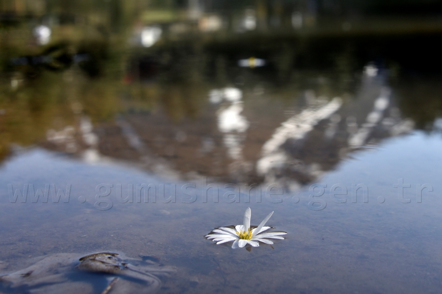 'Karadeniz’e yeni Uzungölller, Sümelalar lazım' 8