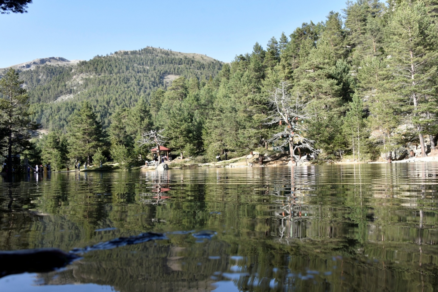 'Karadeniz’e yeni Uzungölller, Sümelalar lazım' 24