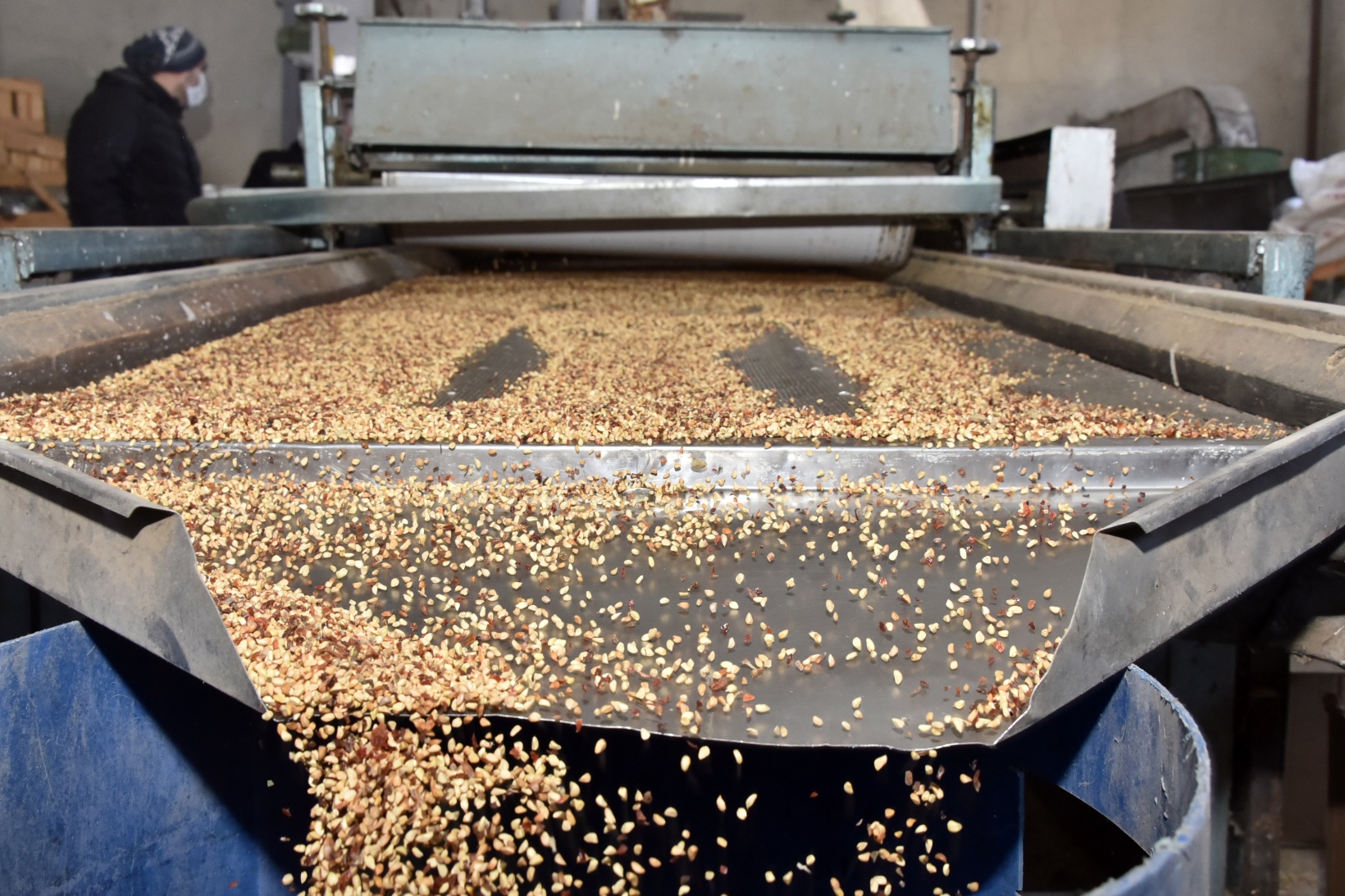 Yıllardır çöpe atılıyordu değeri yeni anlaşıldı 4