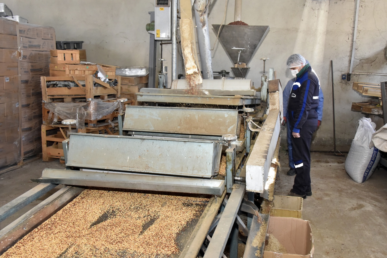 Yıllardır çöpe atılıyordu değeri yeni anlaşıldı 6