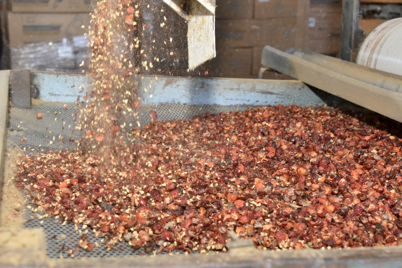 Yıllardır çöpe atılıyordu değeri yeni anlaşıldı 5