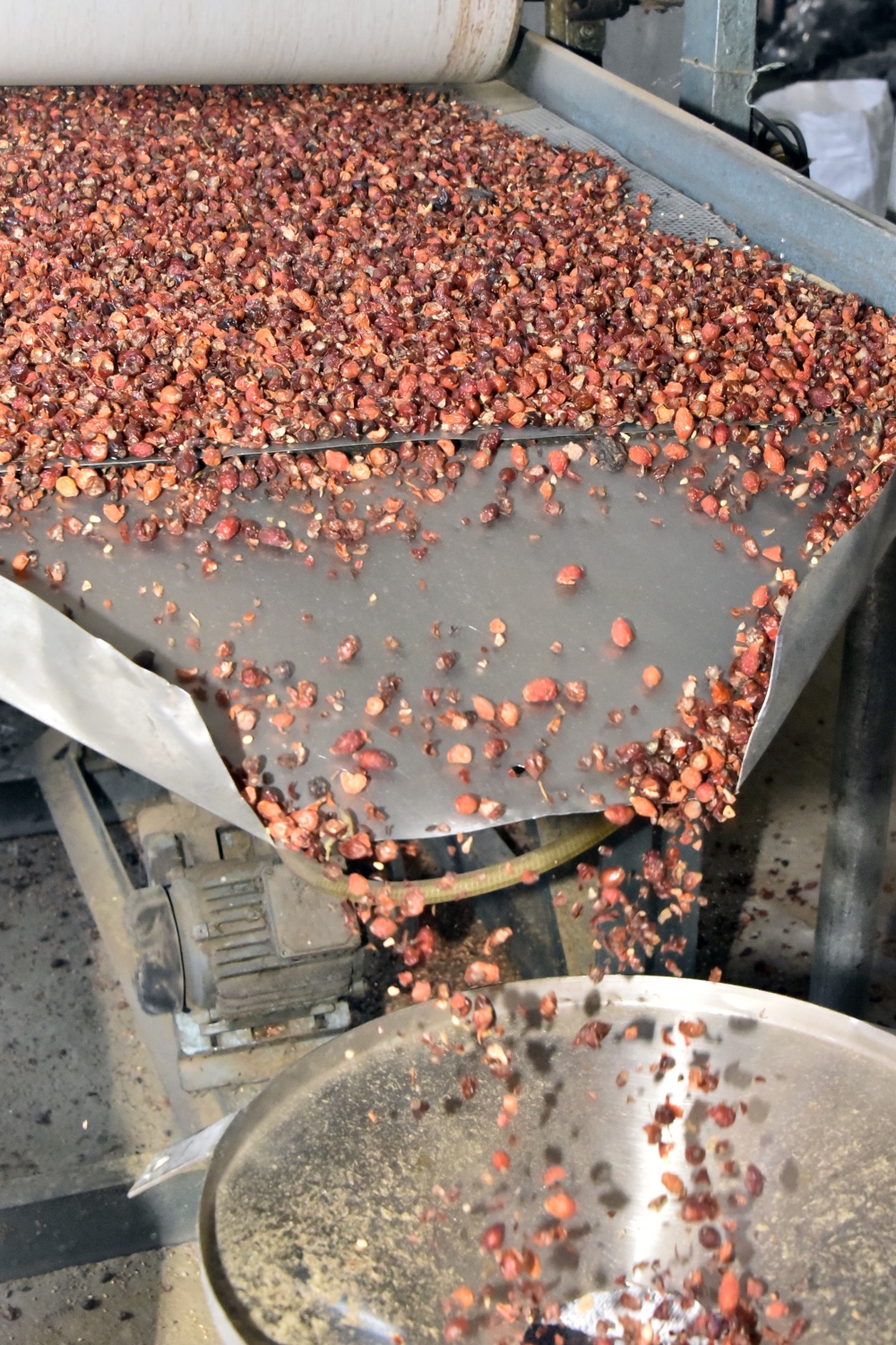 Yıllardır çöpe atılıyordu değeri yeni anlaşıldı 2