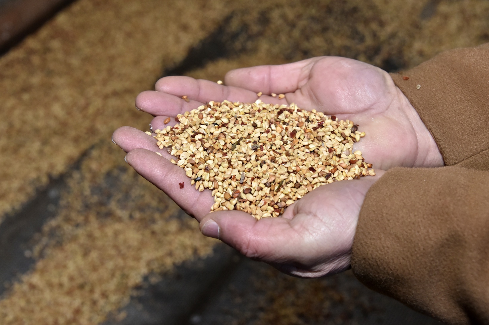 Yıllardır çöpe atılıyordu değeri yeni anlaşıldı 13