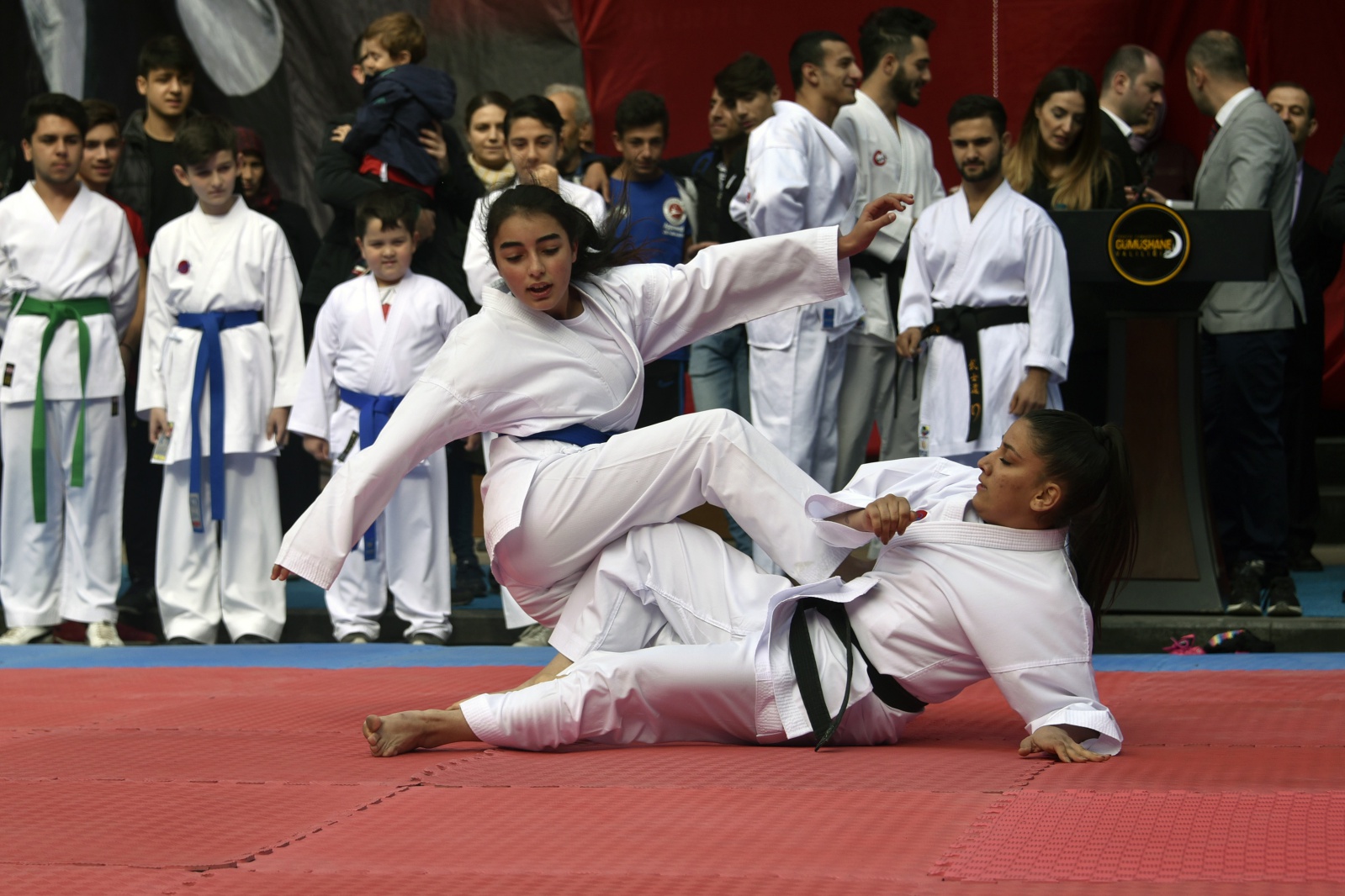 Gümüşhane’de Cumhuriyet Bayramı kutlanıyor 43