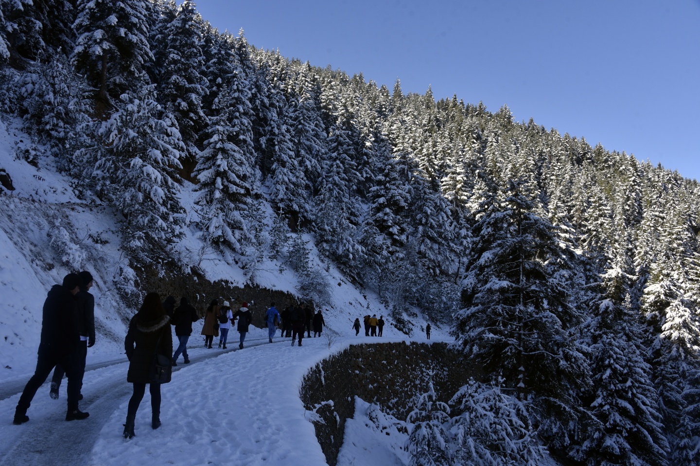 Organ bağışına doğa yürüyüşü ile dikkat çektiler 6