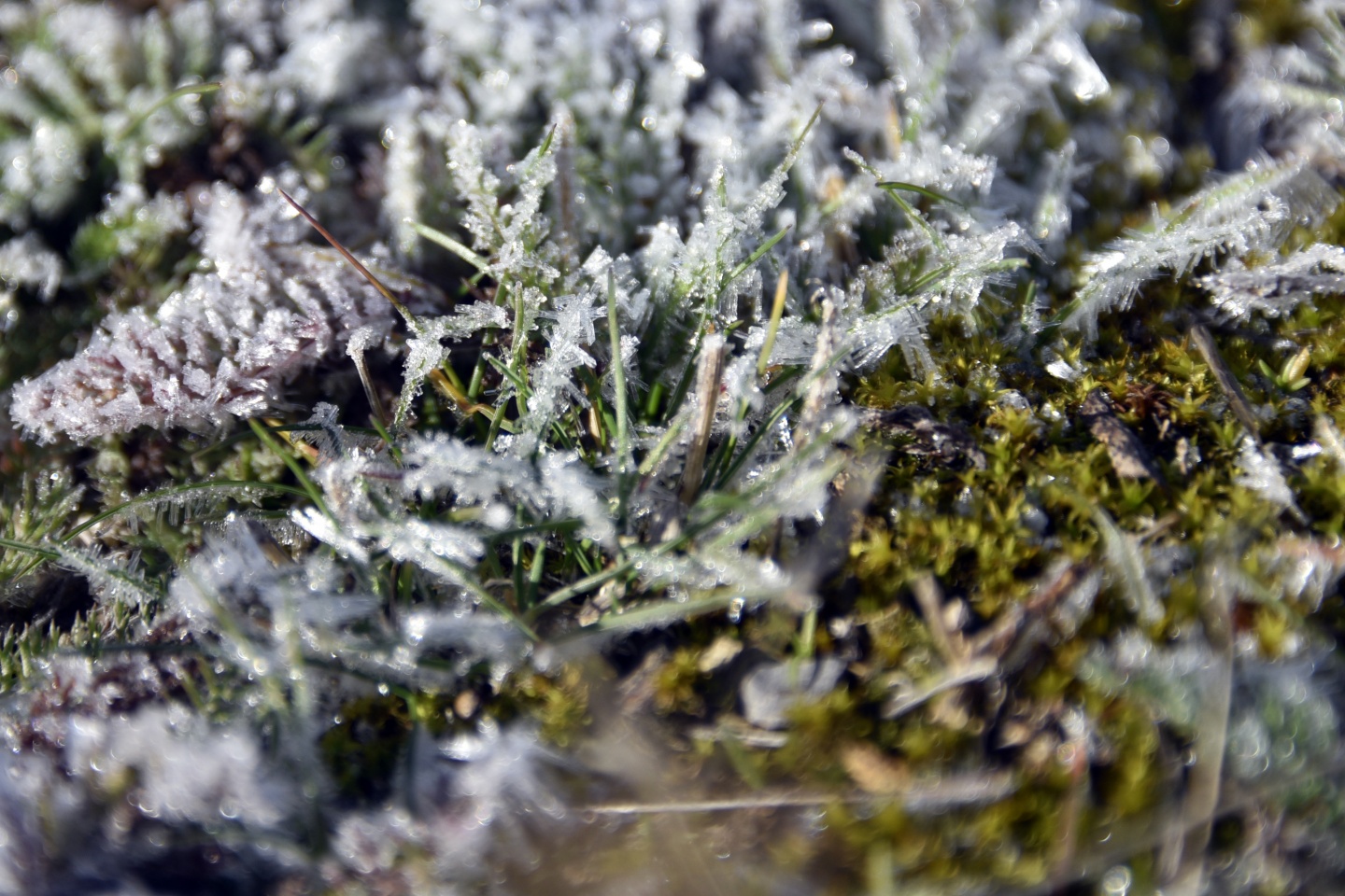 Organ bağışına doğa yürüyüşü ile dikkat çektiler 3