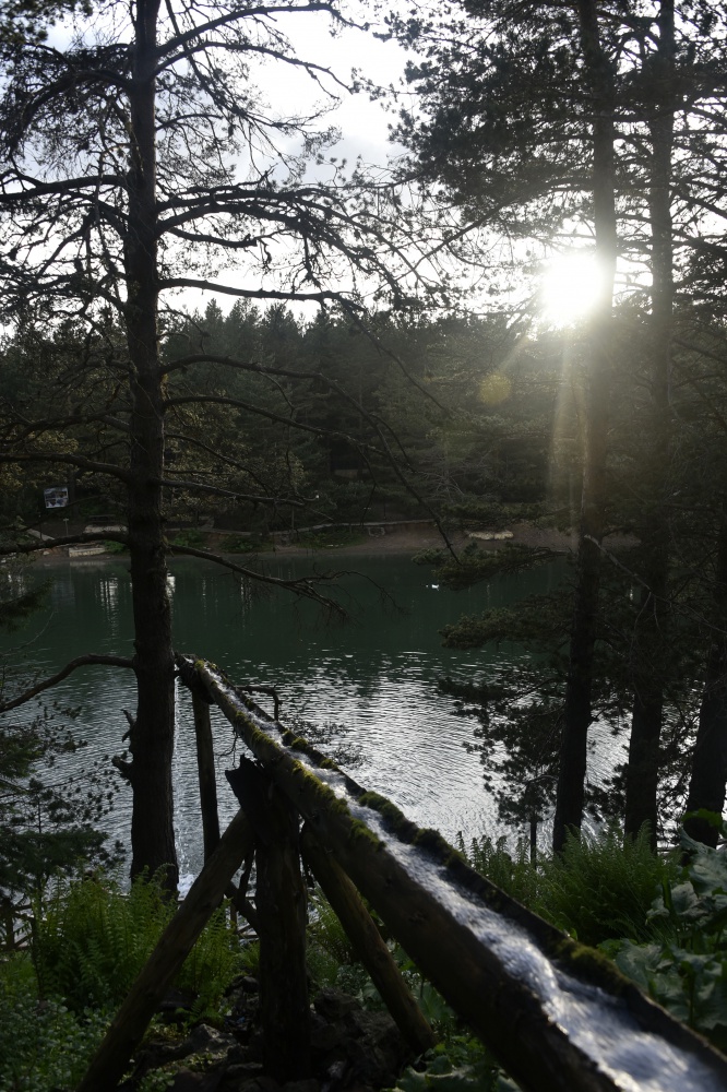 Sıcaktan bunalan soluğu Limni Gölünde alıyor 4