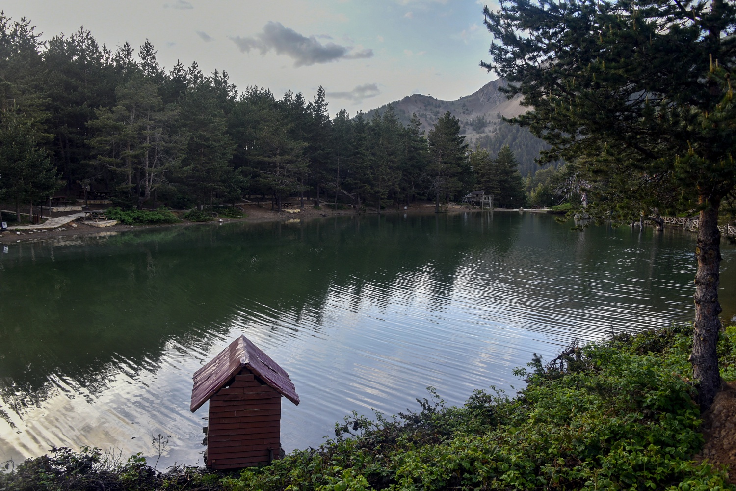Sıcaktan bunalan soluğu Limni Gölünde alıyor 7