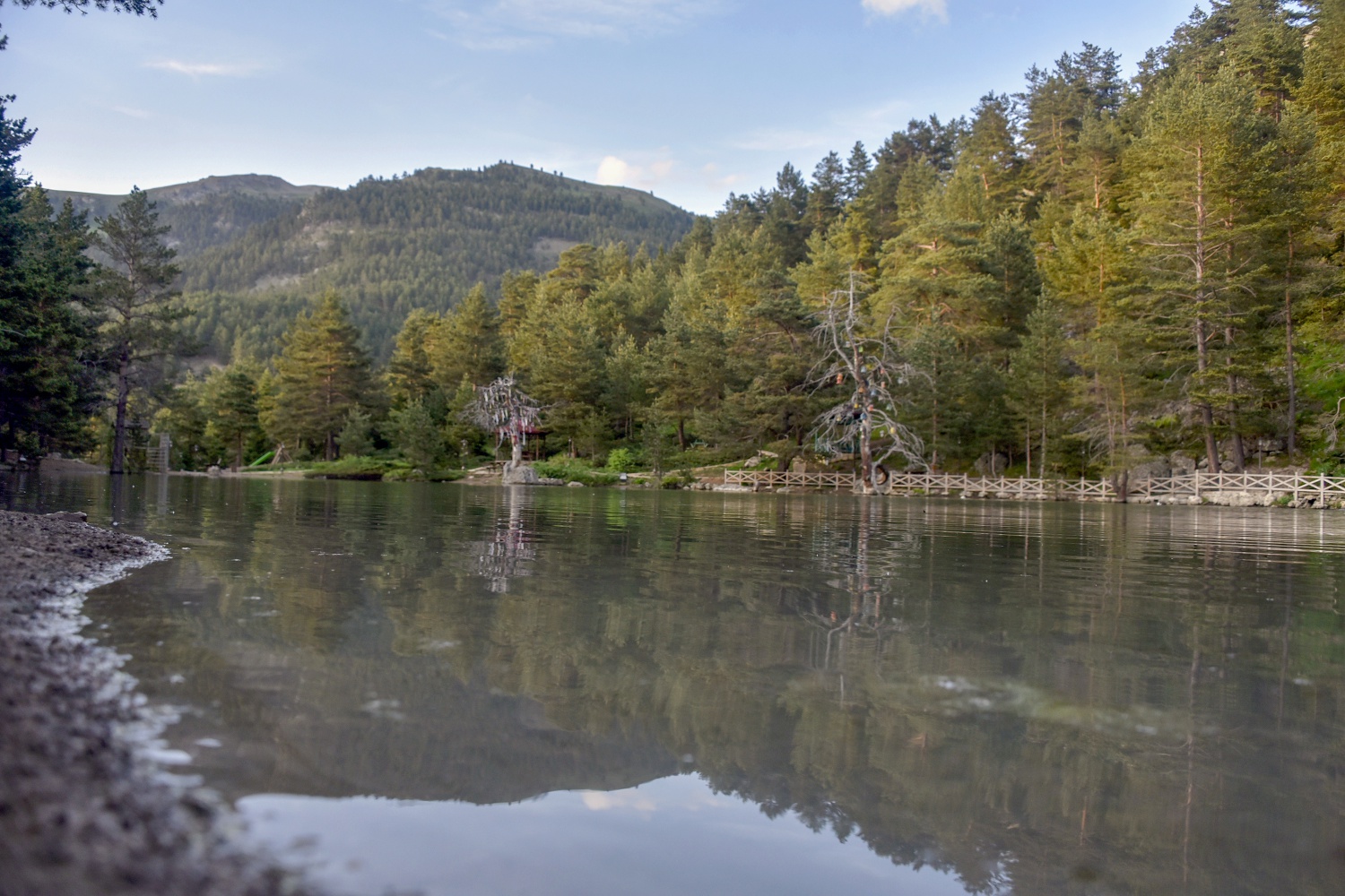 Sıcaktan bunalan soluğu Limni Gölünde alıyor 2