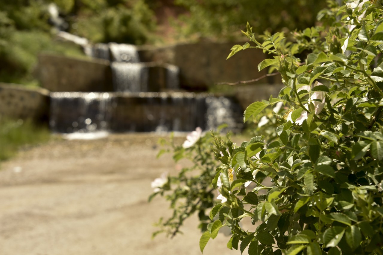 Şalgam Pınarı İlgi Bekliyor 3