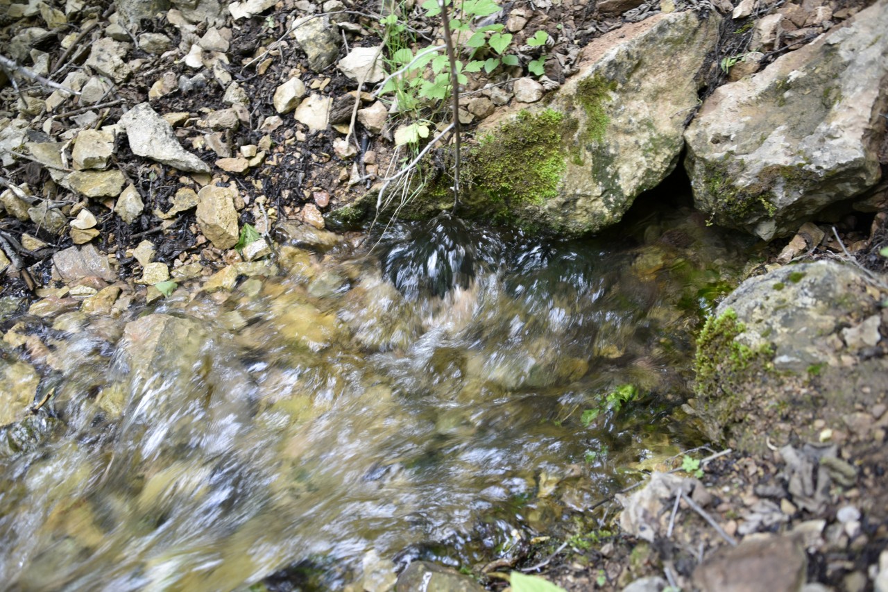 Şalgam Pınarı İlgi Bekliyor 4