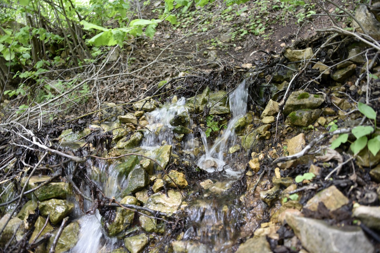 Şalgam Pınarı İlgi Bekliyor 5