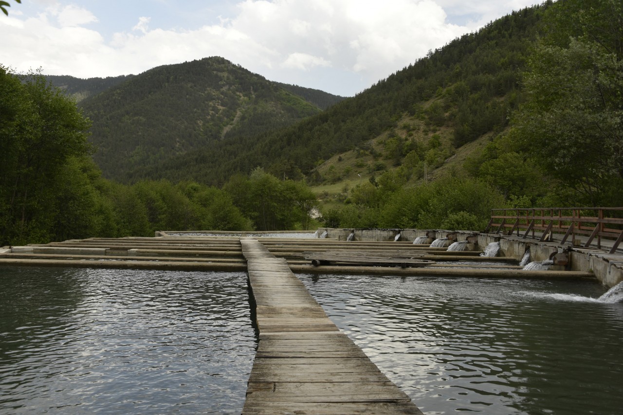 Bu tesisin dünyada başka bir eşi yok 3