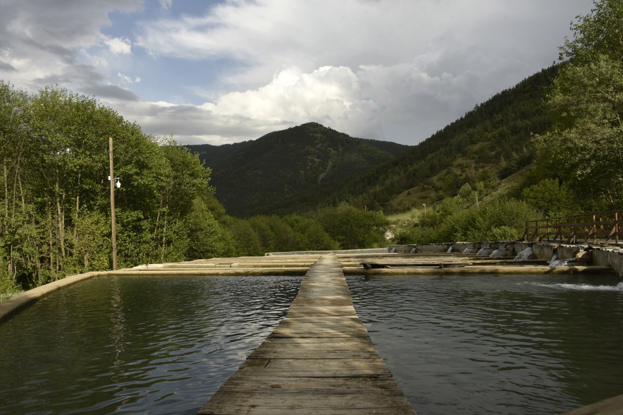 Bu tesisin dünyada başka bir eşi yok 6