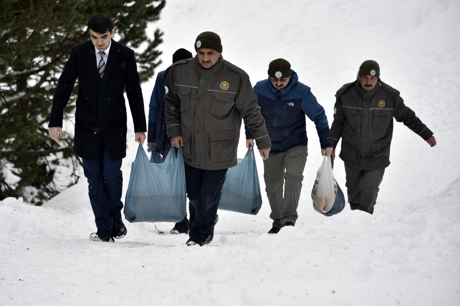 Gümüşhane’de yaban hayatı yemleme çalışmaları devam ediyor 8