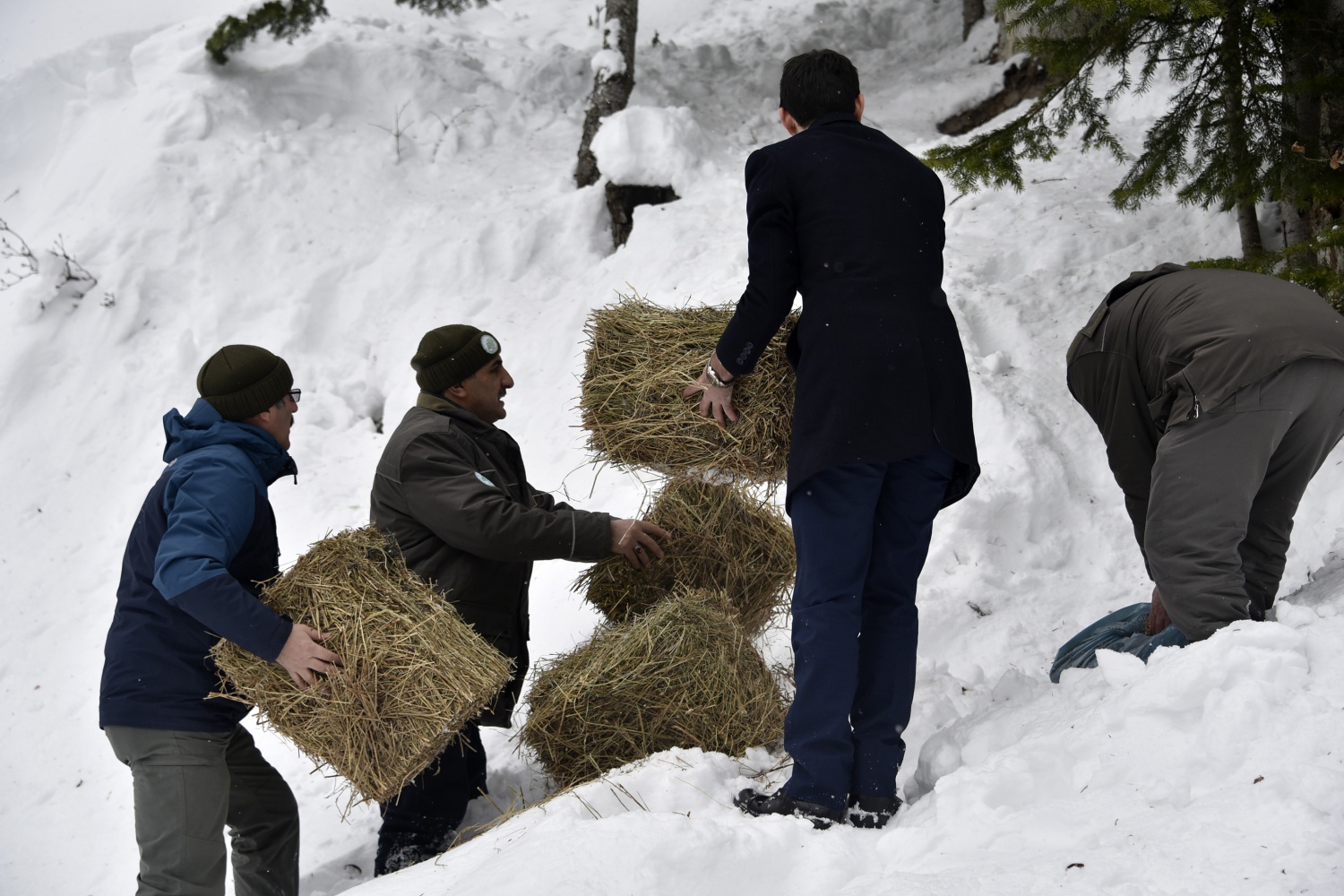 Gümüşhane’de yaban hayatı yemleme çalışmaları devam ediyor 9