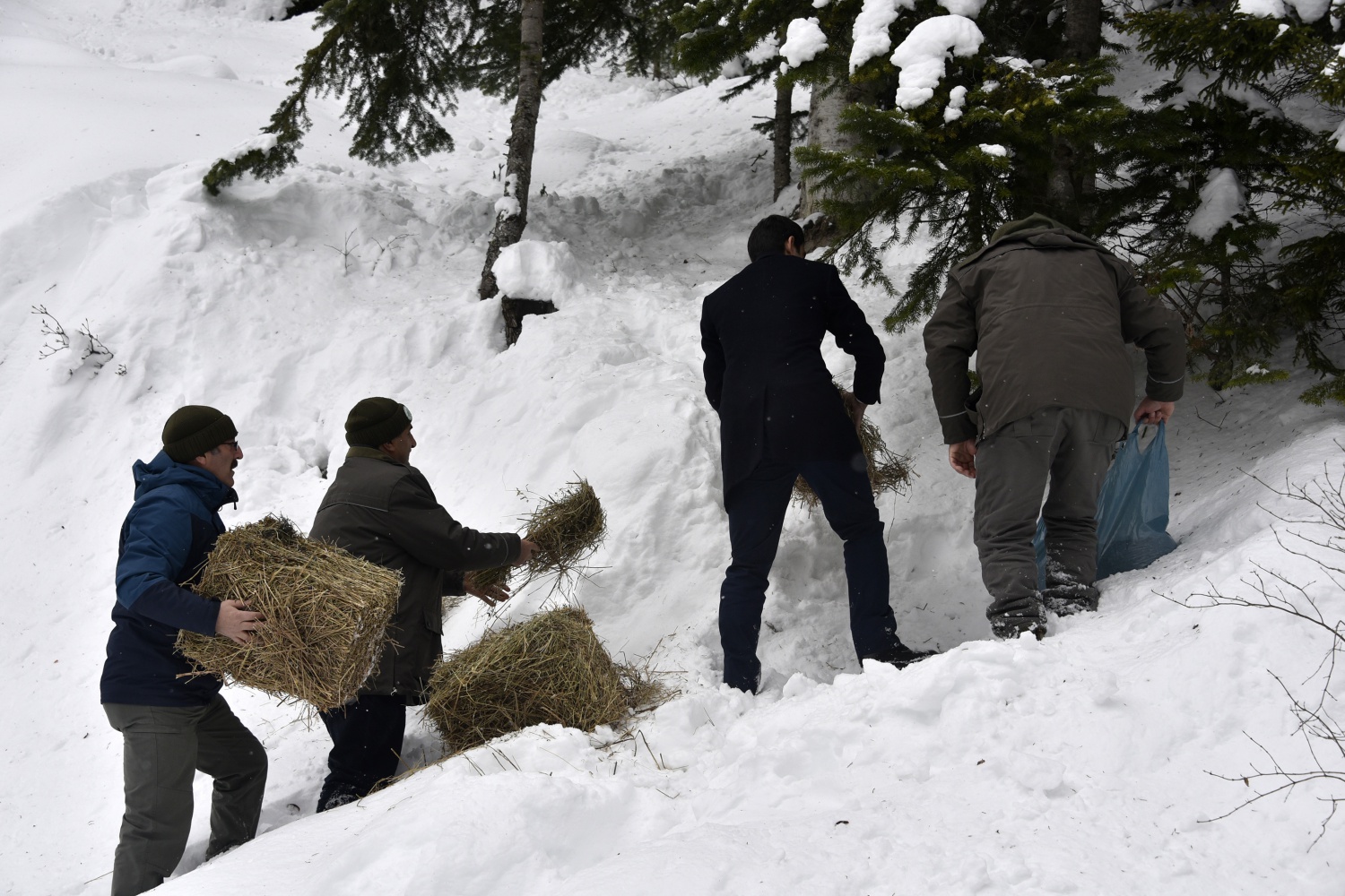 Gümüşhane’de yaban hayatı yemleme çalışmaları devam ediyor 21