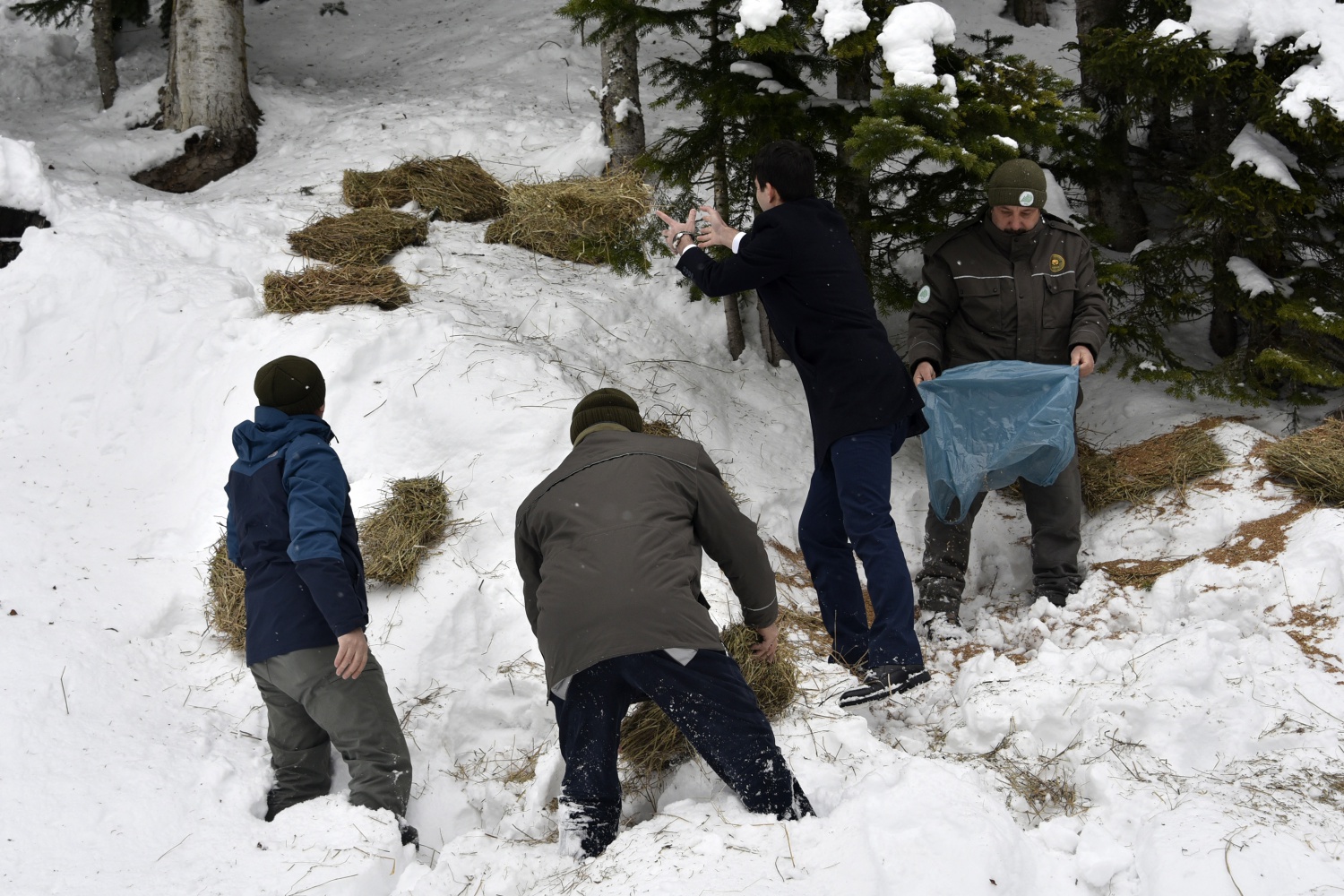 Gümüşhane’de yaban hayatı yemleme çalışmaları devam ediyor 15
