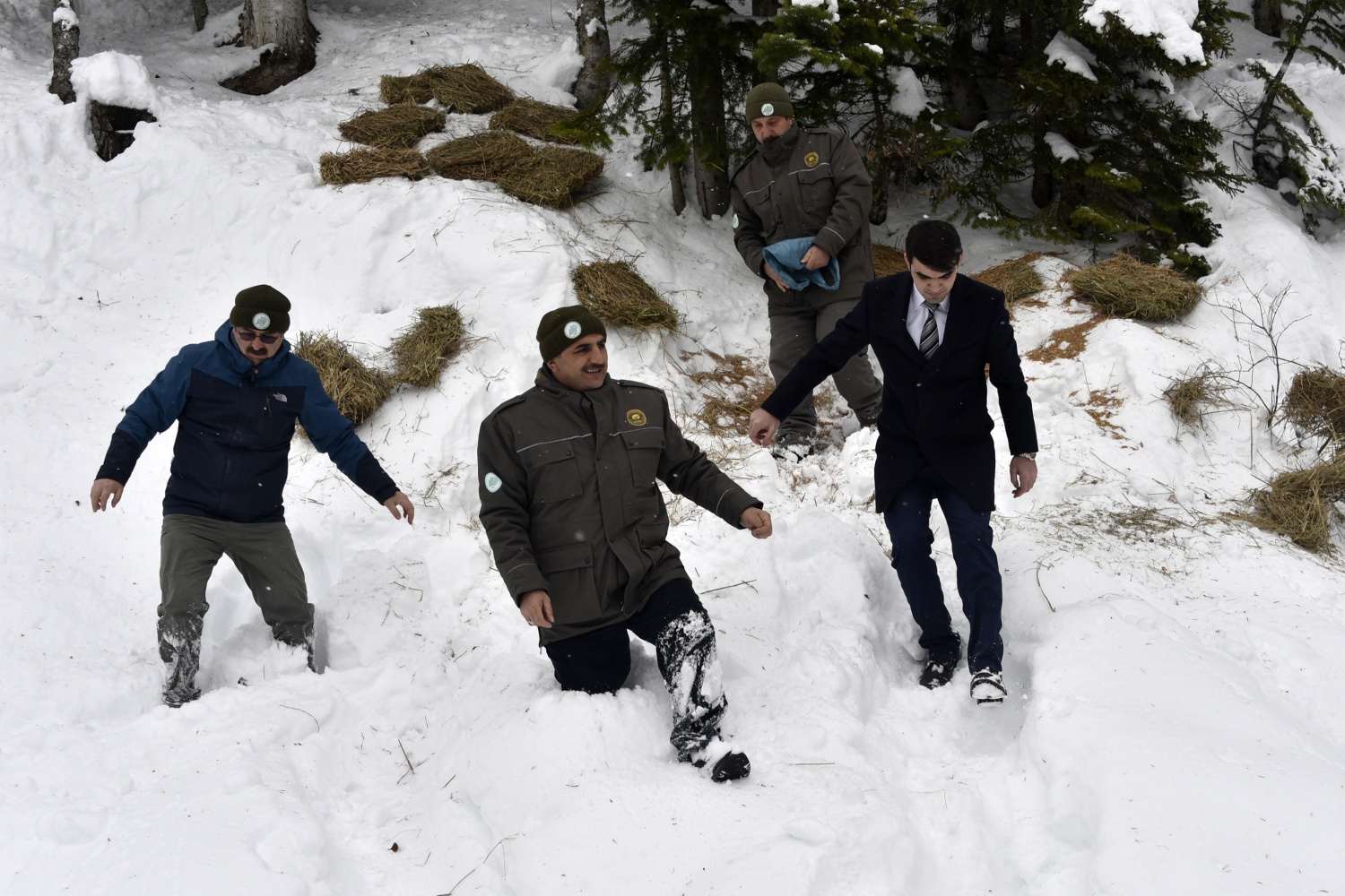 Gümüşhane’de yaban hayatı yemleme çalışmaları devam ediyor 17