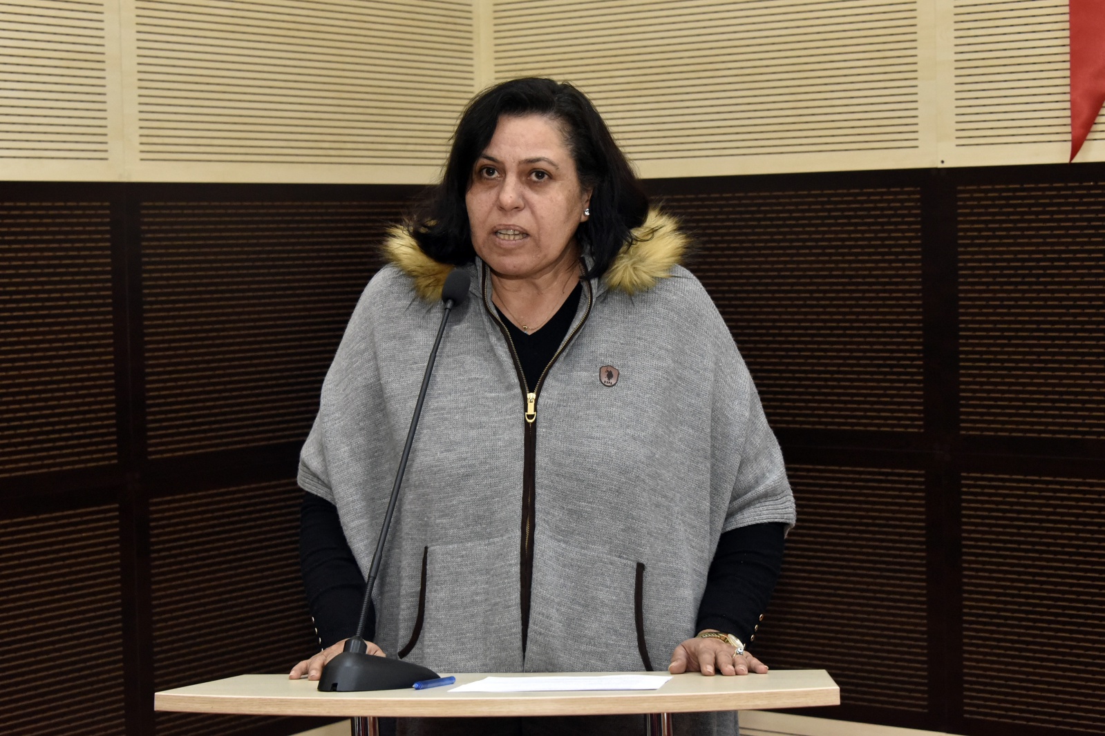 Gümüşhane’de mektepliler ve alaylılar buluştu 11