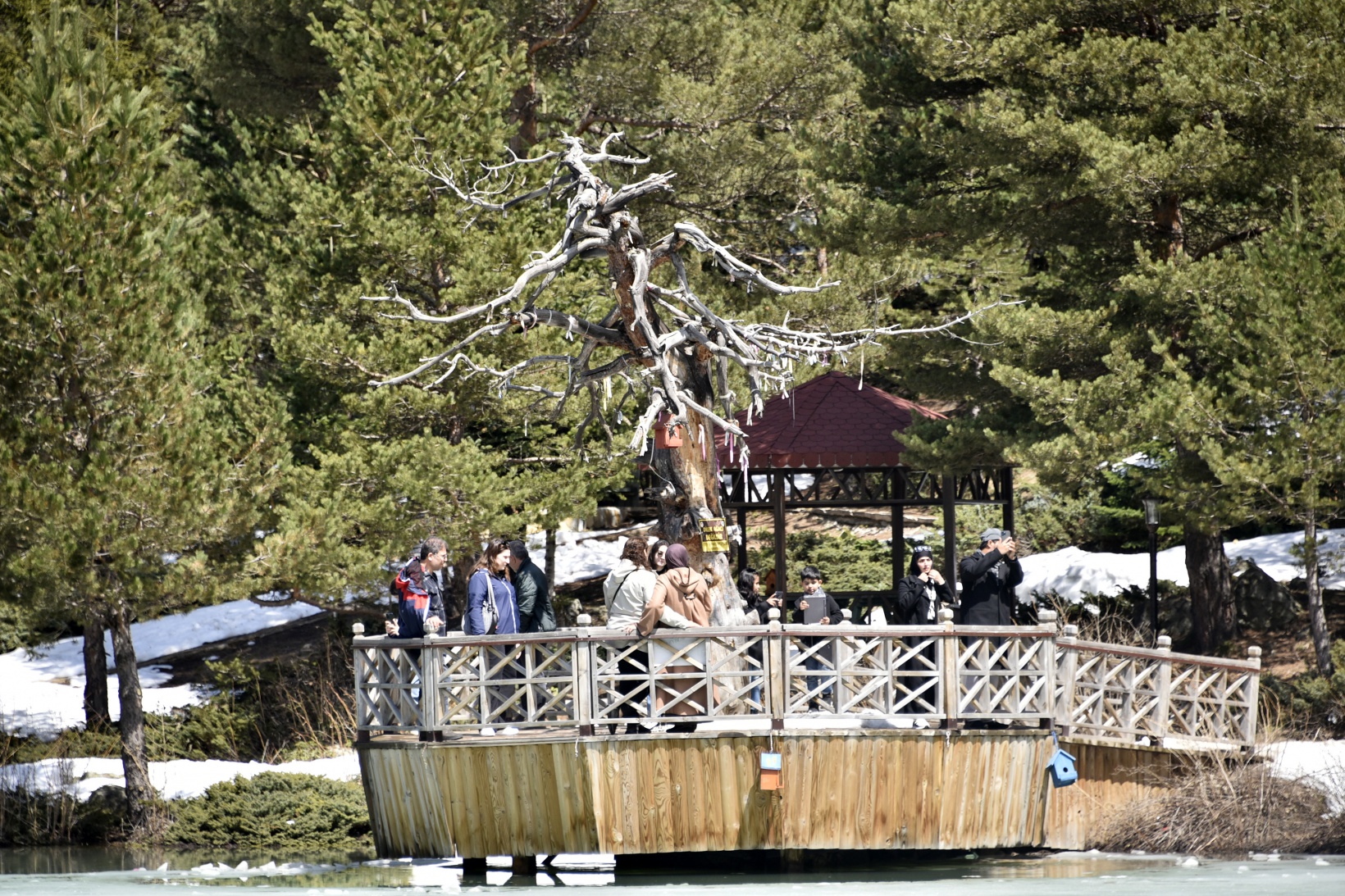 Limni Gölünde yılın son kar manzarası büyüledi 28
