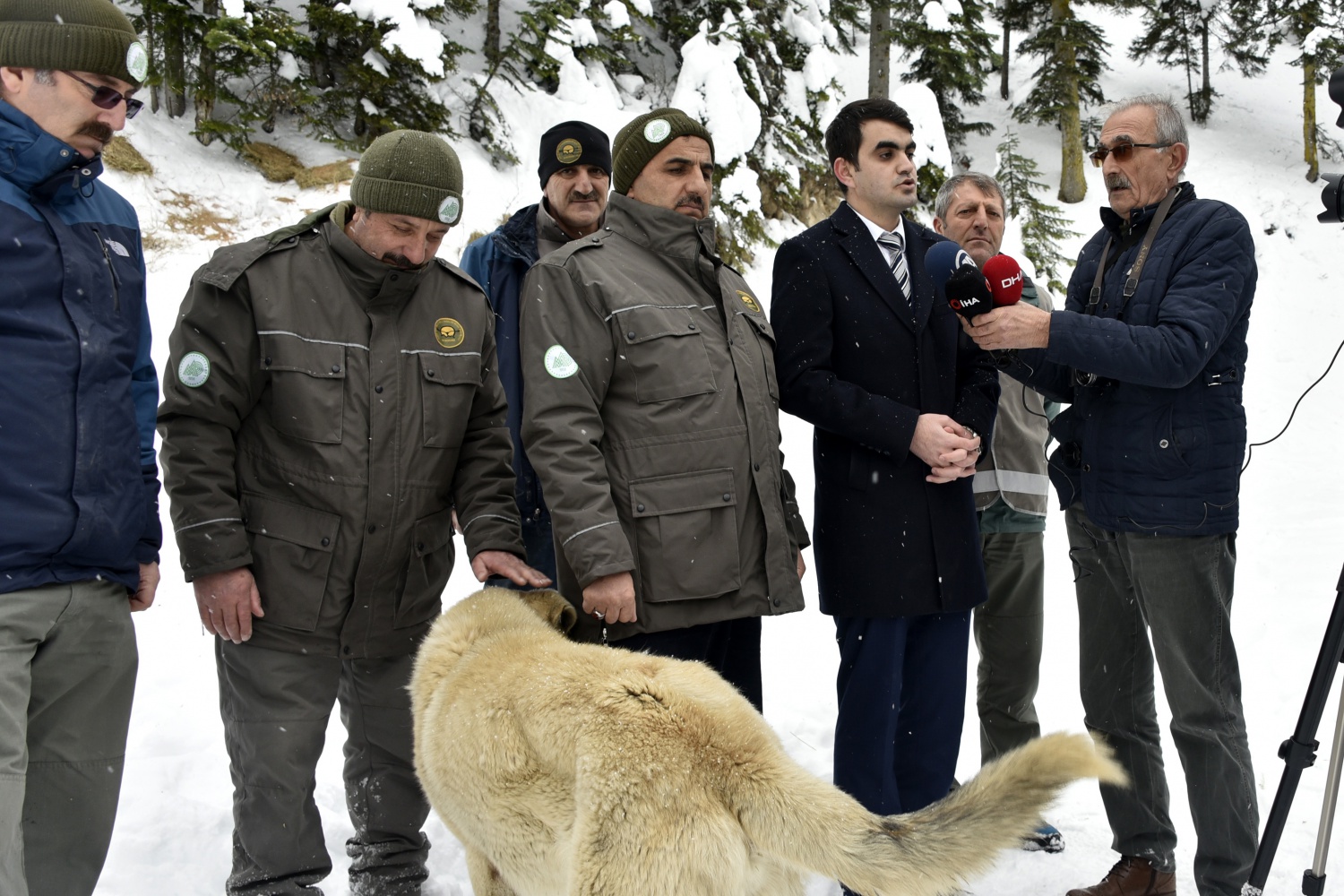 Gümüşhane’de yaban hayatı yemleme çalışmaları devam ediyor 25