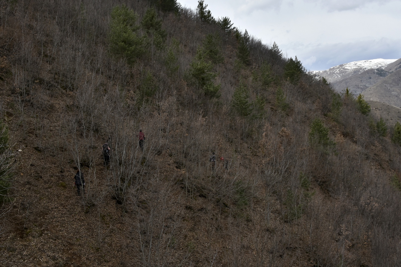 Gümüşhaneli dağcılardan zorlu “İstiklal” yürüyüşü 4