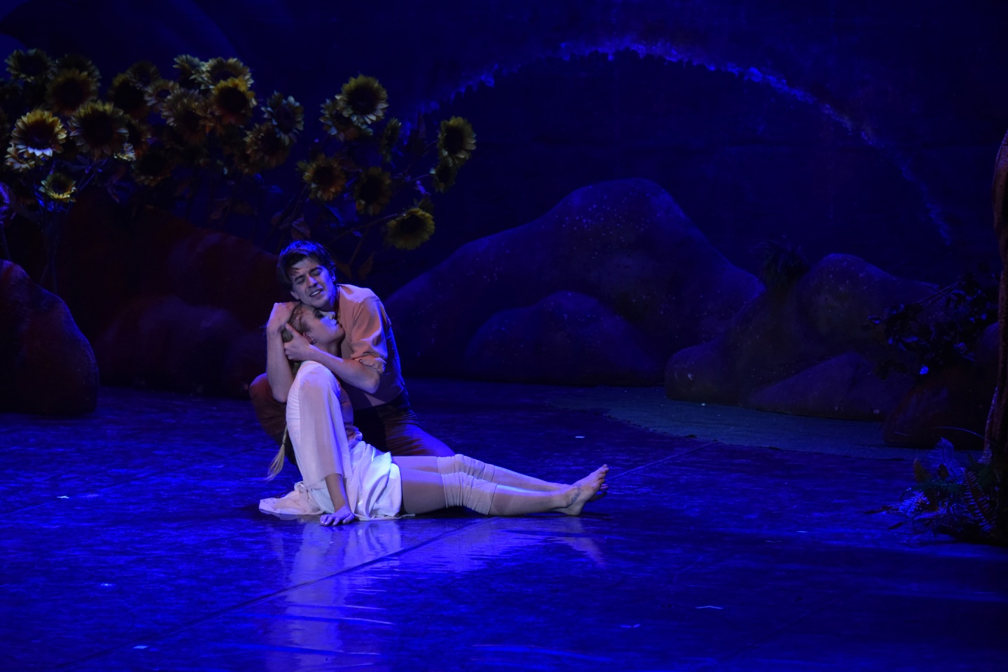 Gümüşhane Bale ile tanıştı 10