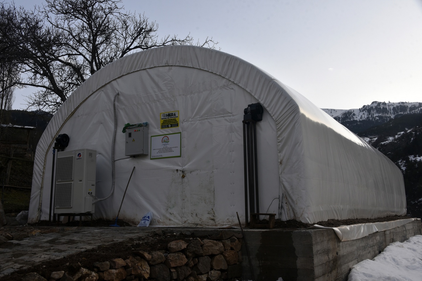 Olmaz denileni yaptı şimdi binlerce ton mantar üretiyor 5