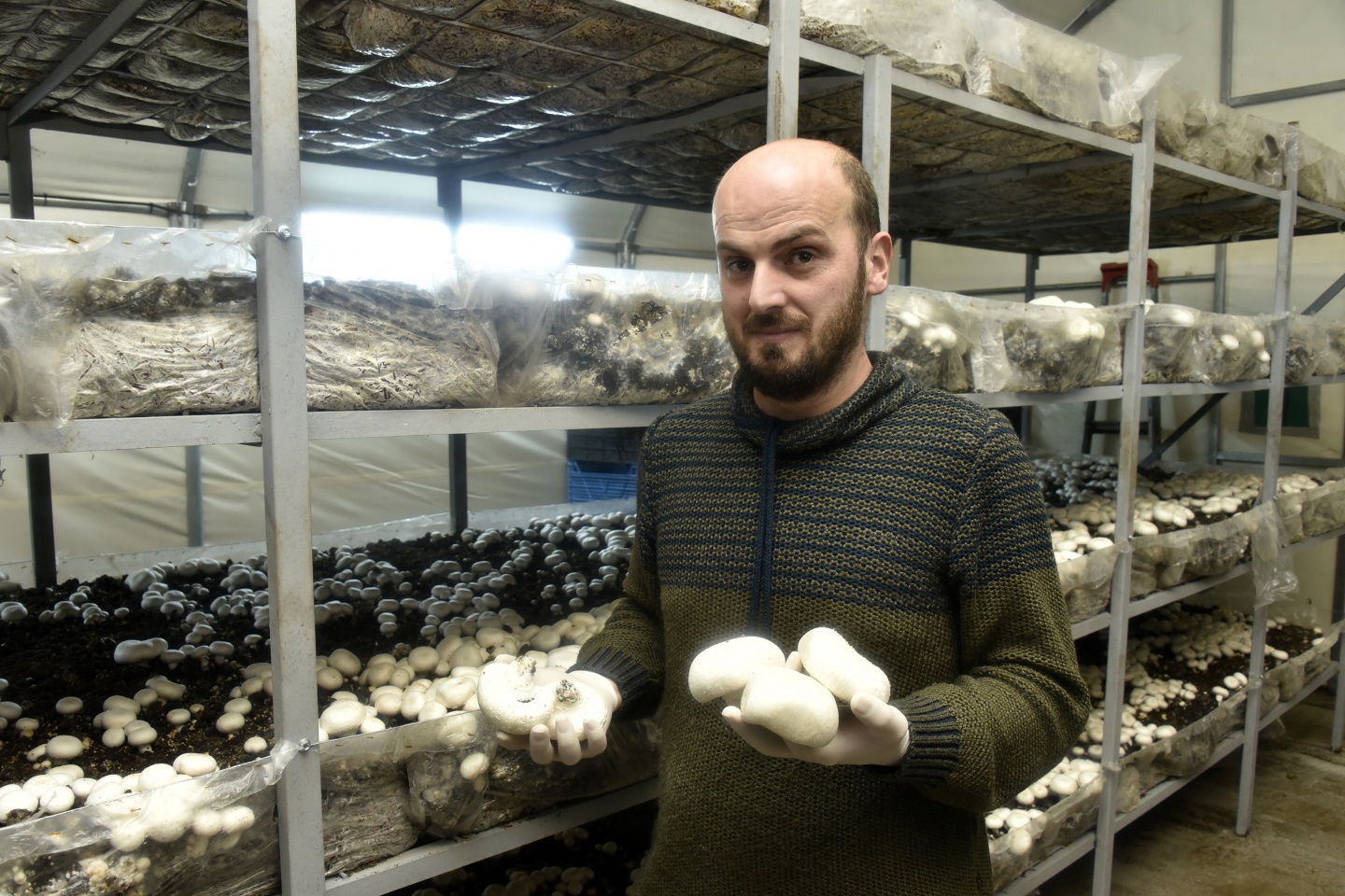 Olmaz denileni yaptı şimdi binlerce ton mantar üretiyor 10