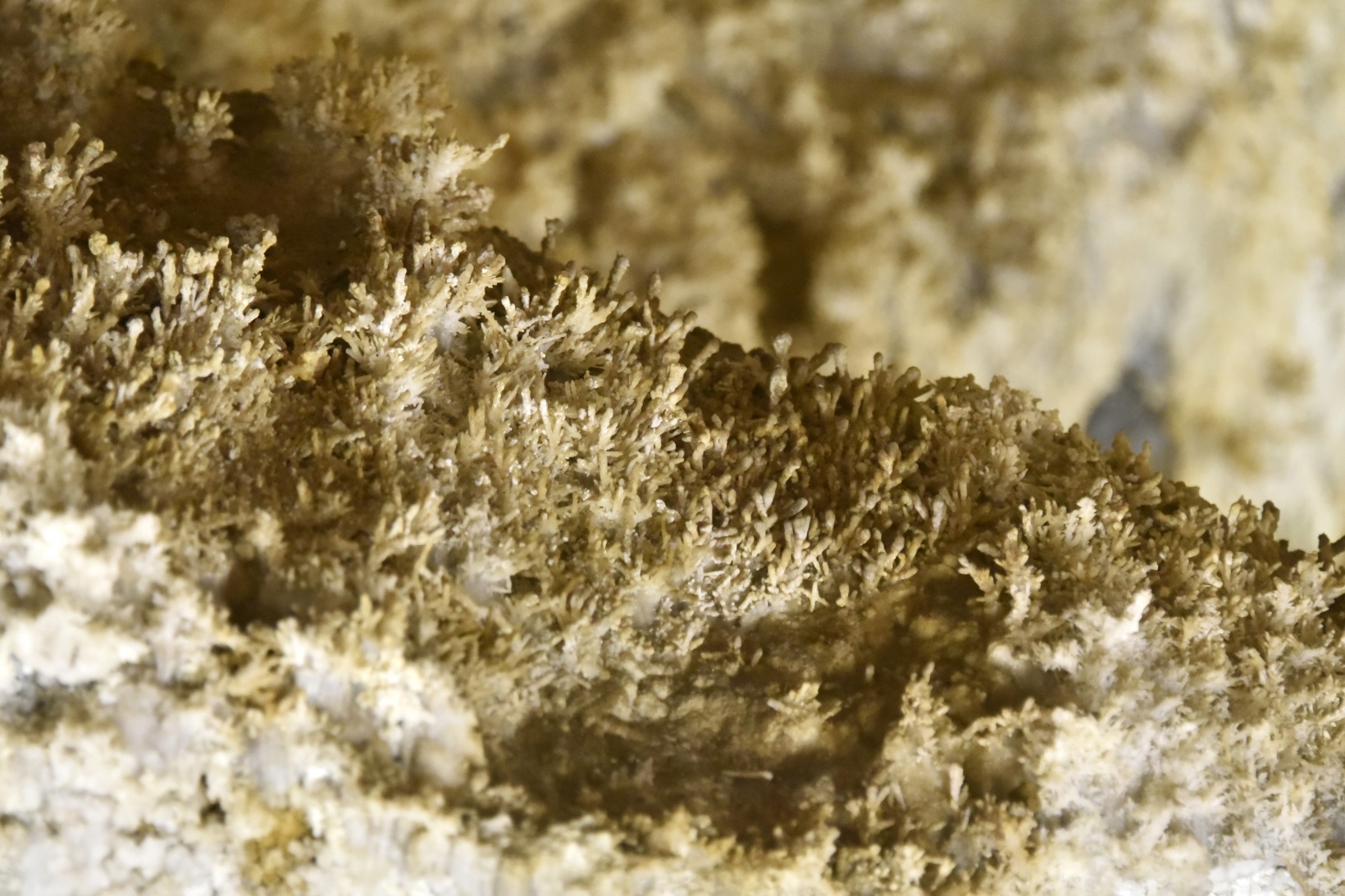 Gümüşhane’nin yeraltı sarayı ziyaretçi kabulüne başladı 21